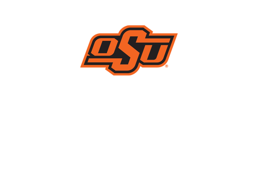Vertical white text - Aerospace Studies