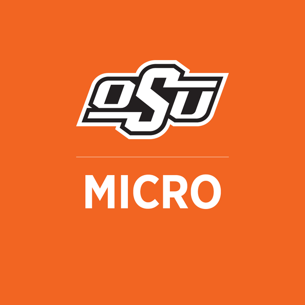 MICRO-03.png