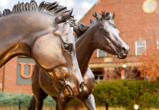 OSU Campus Horse Sculptures - 002