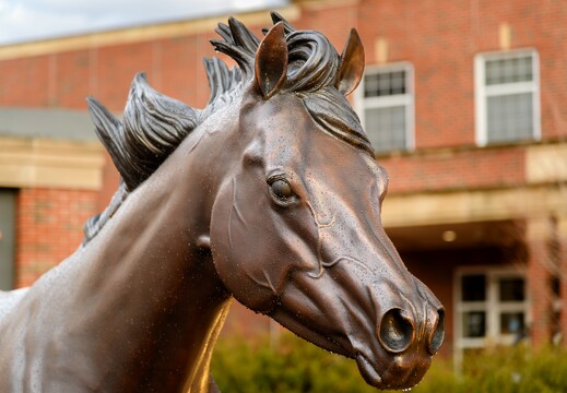 OSU Campus Horse Sculptures - 003