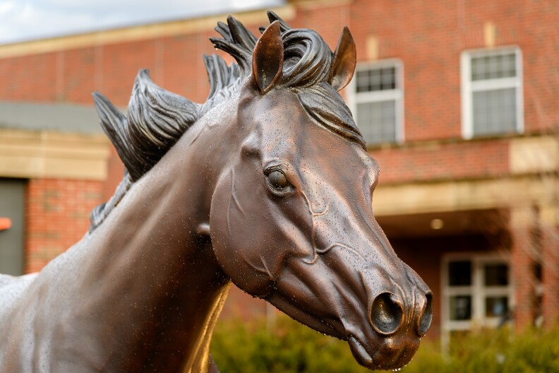 OSU Campus Horse Sculptures - 003.jpg