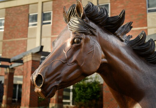 OSU Campus Horse Sculptures - 004