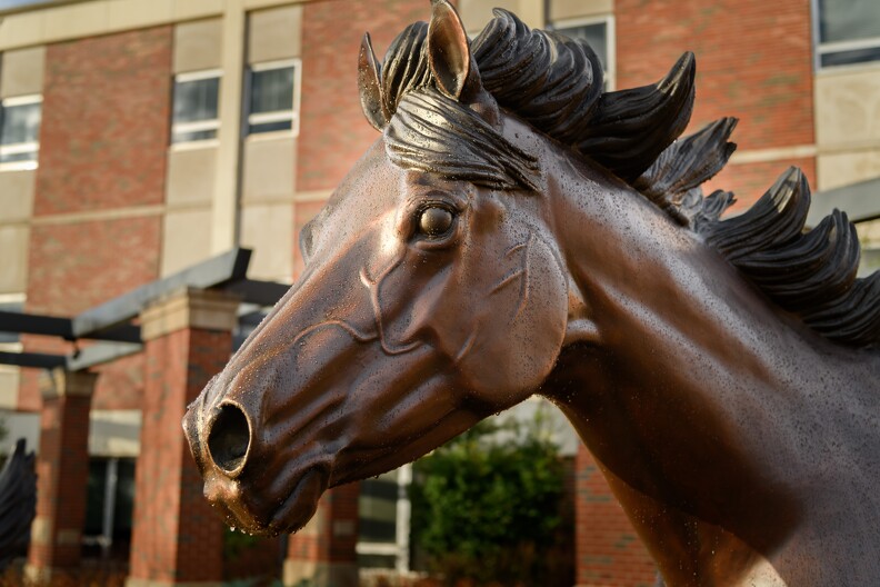 OSU Campus Horse Sculptures - 004.jpg