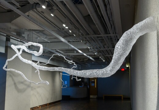 Art - 2022 Exhibit - woven polymer - 001