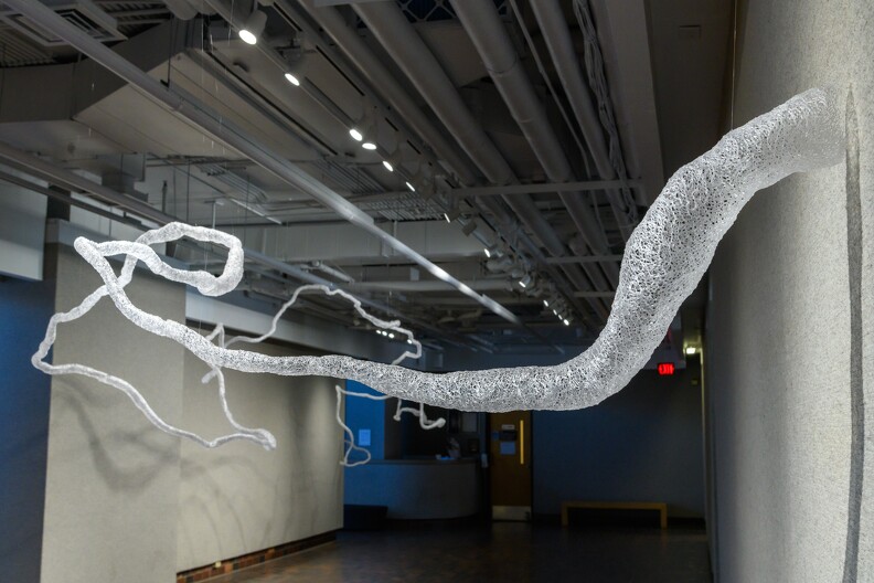Art - 2022 Exhibit - woven polymer - 001.jpg
