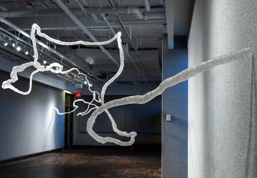 Art - 2022 Exhibit - woven polymer - 006