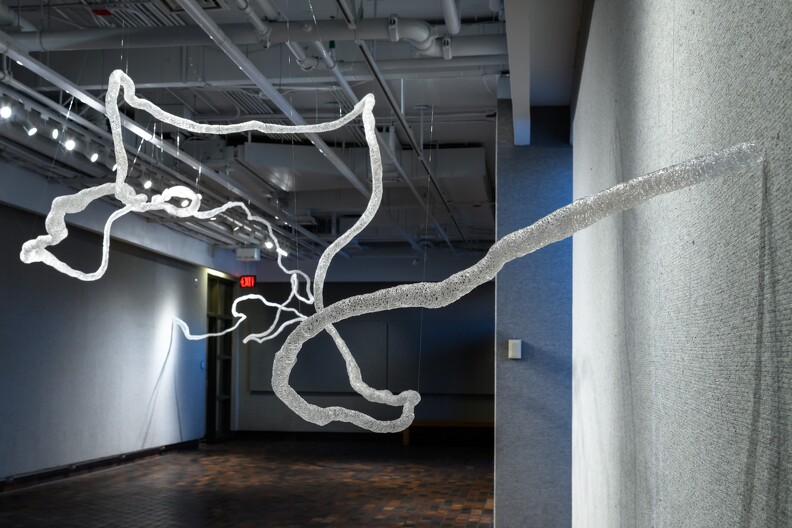 Art - 2022 Exhibit - woven polymer - 006.jpg