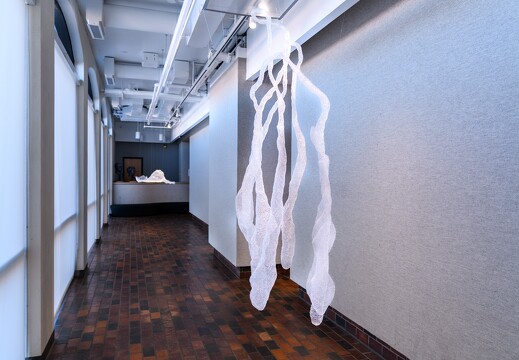 Art - 2022 Exhibit - woven polymer - 010