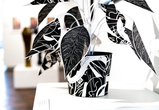 Departments - display this album Departments